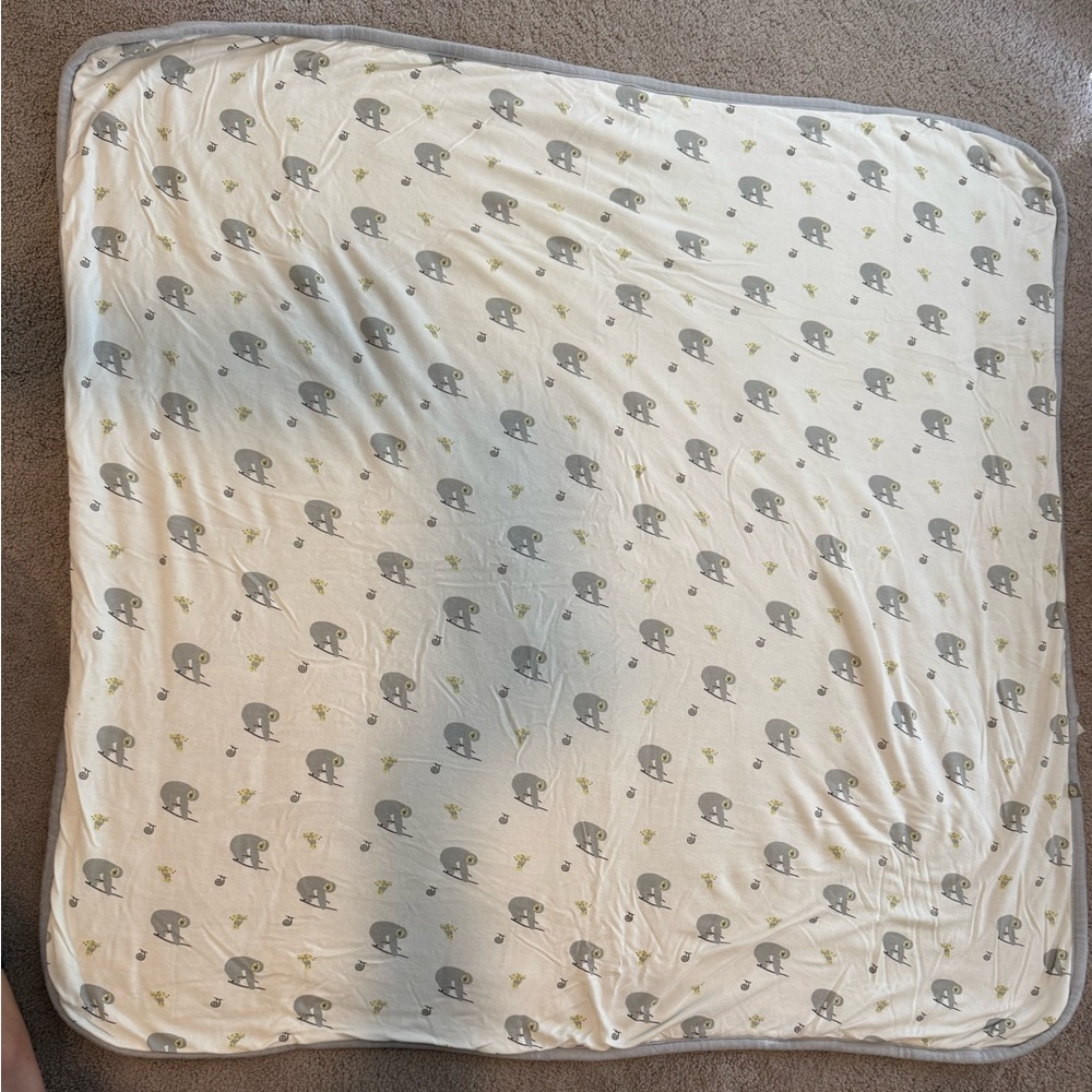 Grey Sloth and Snail Kyte Baby Blanket